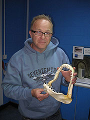 he sawyer and shark jaw